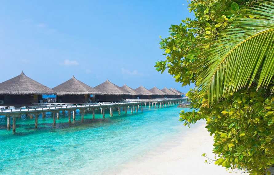 Golden Triangle with Goa